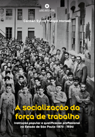 [Pré-venda] A SOCIALIZAÇÃO DA FORÇA DE TRABALHO: Instrução popular e qualificação profissional no Estado de São Paulo (1873-1934)