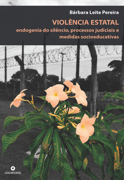 VIOLÊNCIA ESTATAL: endogenia do silêncio, processos judiciais e medidas socioeducativas